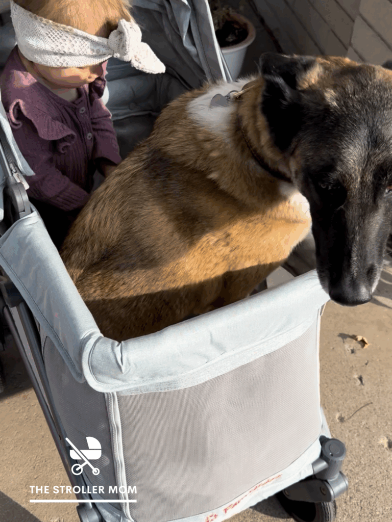 Baby and dog in wagon