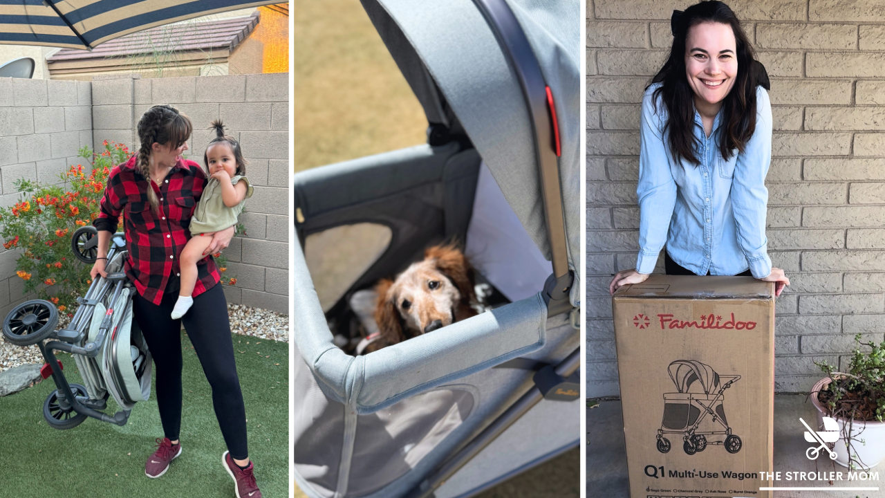 Dog, wagon folded and unboxing 
