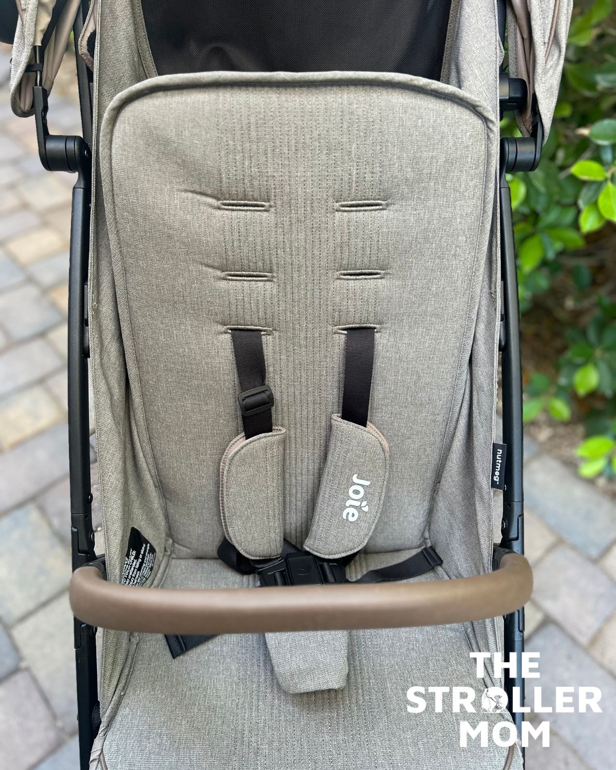 Joie Nutmeg seat and five-point harness, front view